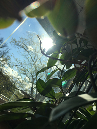 Solen tittar fram igen den 13 maj 2020