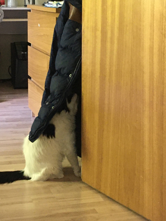 Citrus i Es vinterjacka