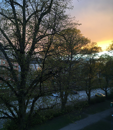 Träd och kvällshimmel sedda ur Pojkrummets fönster