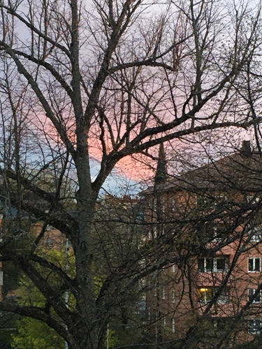 Rosa himmel bakom hustaken utsikt fr balkongen