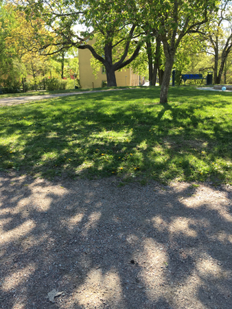 Halvskugga i Höganäsparken