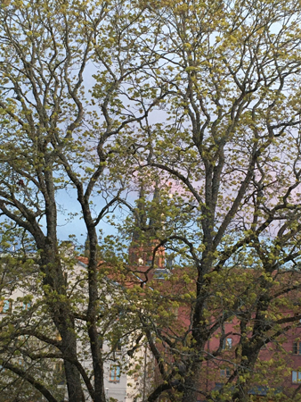 Utsikt mot domkyrkotornen från sovrumsfönstret