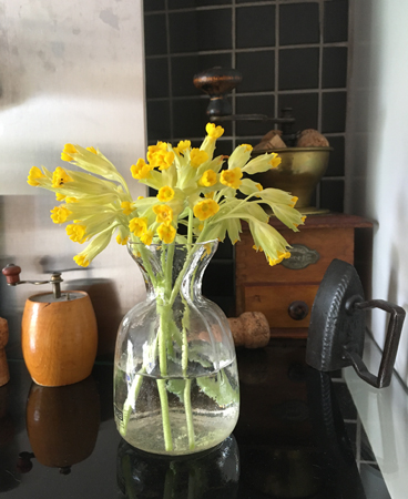 Gullvivor från Slottsträdgården