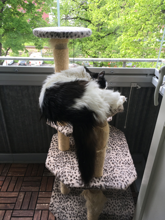 Herreman på täppan Lucifer