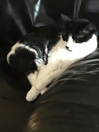 Mini tittar på Lyxfällan