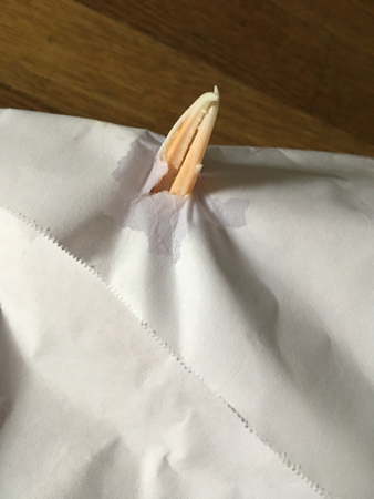 Kräftklo genom papper