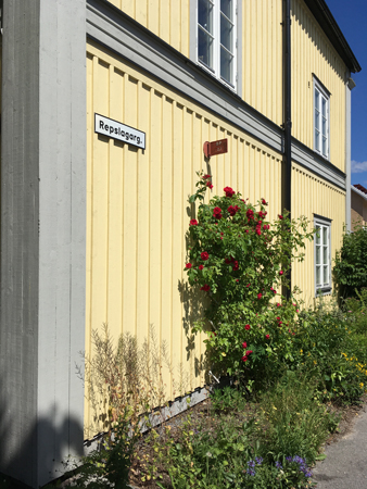 Repslagargatan rosor mot gul husvägg