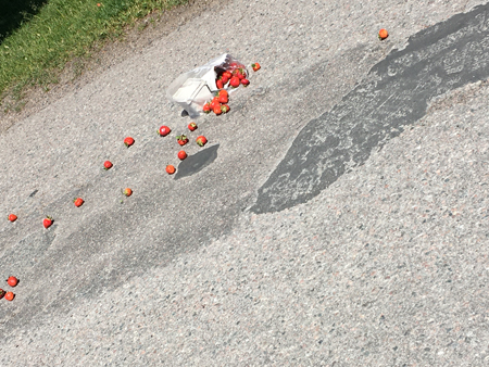 Jordgubbar på cykelbanan