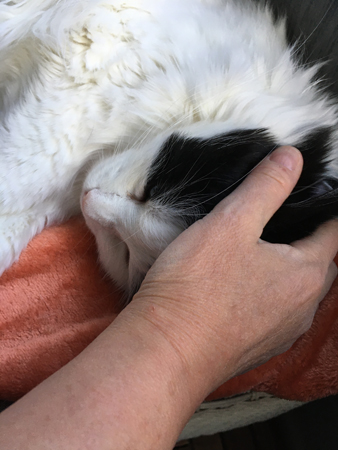 Anna håller på Lucifers huvud