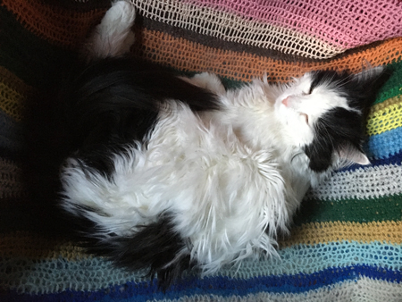 Lucifer i skrivbordstolen 1