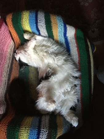 Lucifer i skrivbordstolen 2