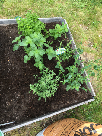 Sex örter på plats i pallkragen