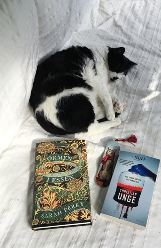 Mini med böckerna Ormen i Essex och Går genom vatten går genom eld