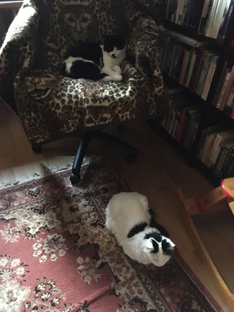 Drottning Mini och Prinsessan Citrus