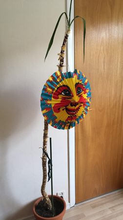 Kräftmåne i yuccapalmen Ingrid