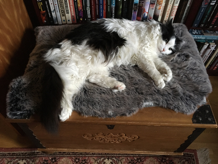 Lucifer på Annas brudkista i Bokrummet