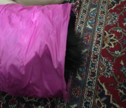 Citrus inne i lektunneln