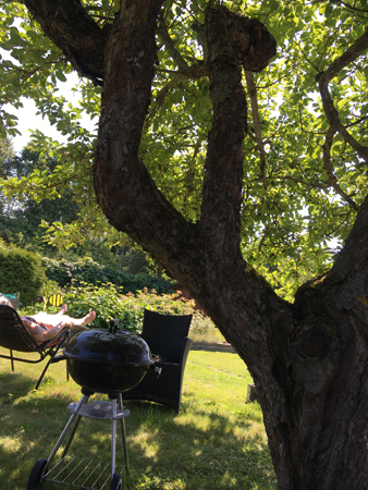 Semester i trädgården