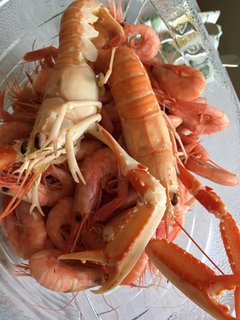 Havkräftor och räkor