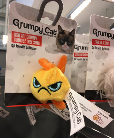 Grumpy cat