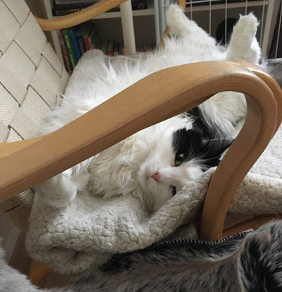 Lucifer i Bruno Mathsson