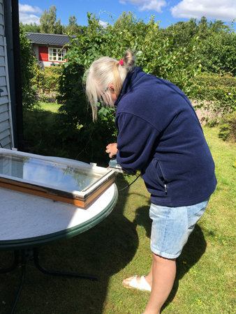 Anna slipar fönster Slottet