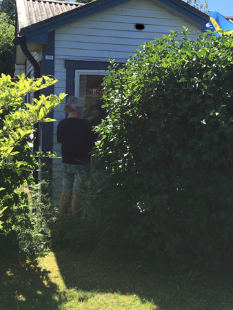 Anna målar fönster