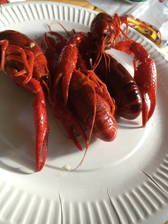 Kräftor på papperstallrik