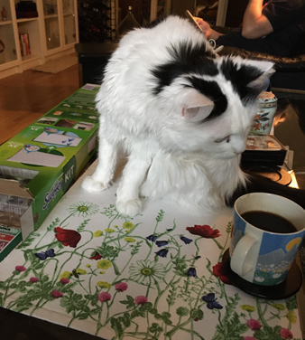 Citrus på vardagsrumsbordet vid min kaffemugg