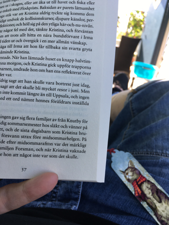 Läsning i solstol i skuggan