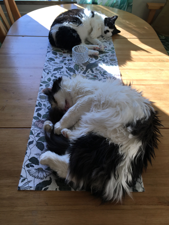 Bordskatterna Lucifer och Mini