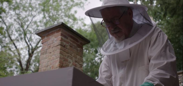 Morden i Midsomer Det dödliga sticket