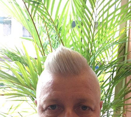 Jag nyklippt ovanpå huvudet