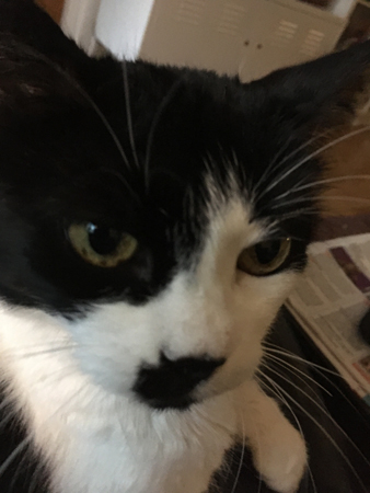 Mini närbild lite oskarp