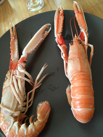 Cirka 250 gram havskräftor