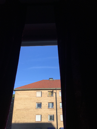 Utanför mitt fönster i Bokrummet