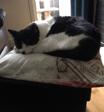 Mamma Mini på min fotpall