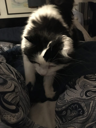 Luficer hälsar på i sovrummet