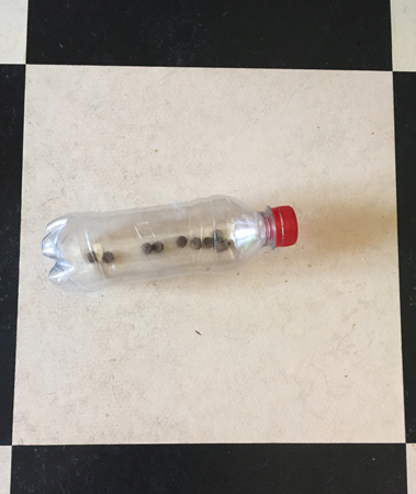 Flaska med torrgodis till katterna