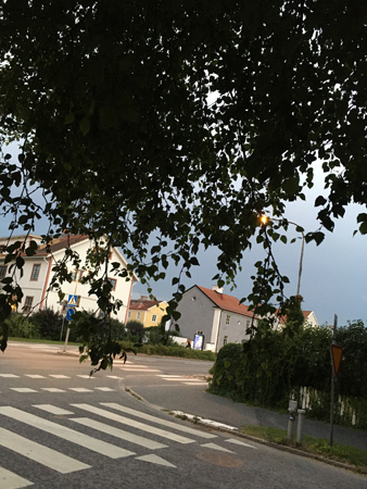 Kvällspromenad i Svartbäcken