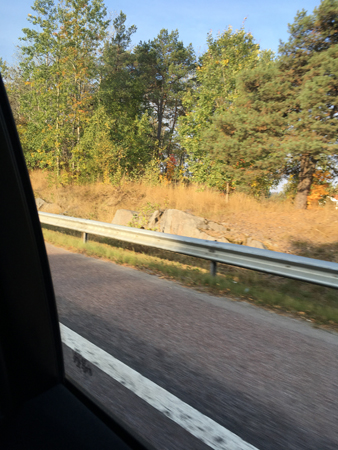 Genom bilruta i ett baksäte