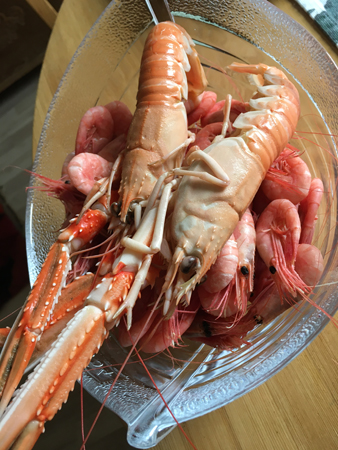 Citrus på mattan i Bokrummet