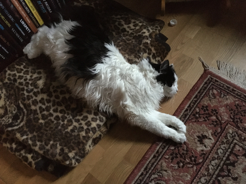 Lucifer utanför filten