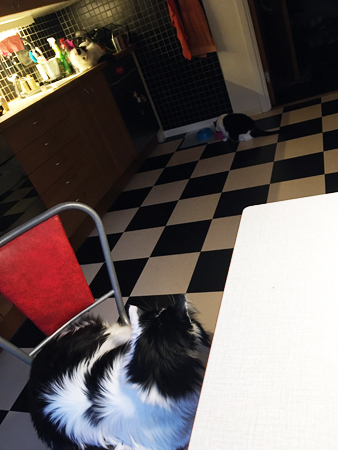 Morgonmöte i köket