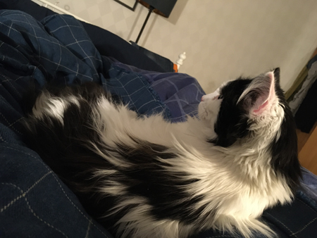 Lucifer på besök i sovrummet