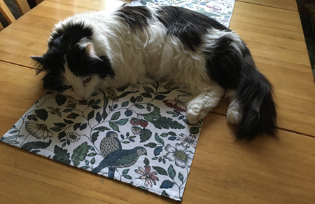 Lucifer på duken på Annas köksbord