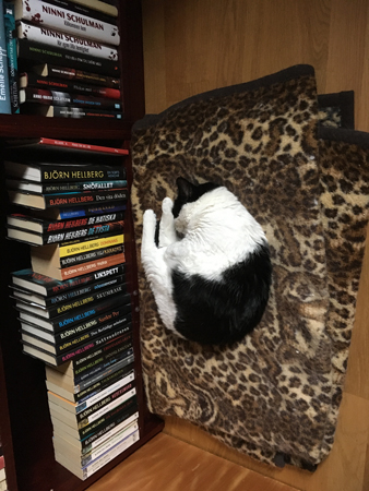 Mini på min vänstra sida