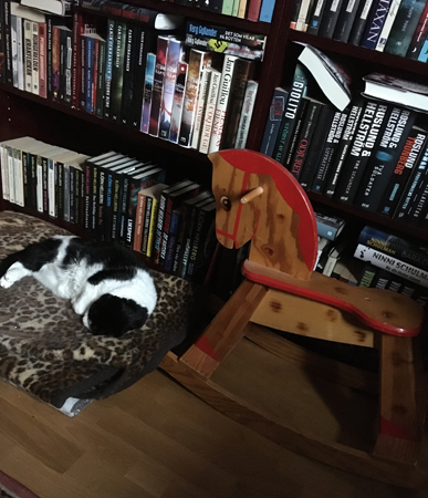 Mini på leopardfilten och min gunghäst