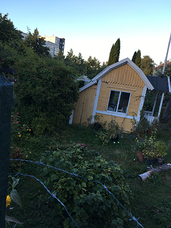 Stuga i trädgårdsföreningen Viola