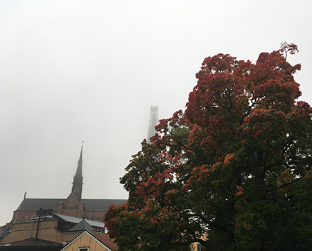 Domkyrkotornen i dis och rött höstträd på St Olofsbron